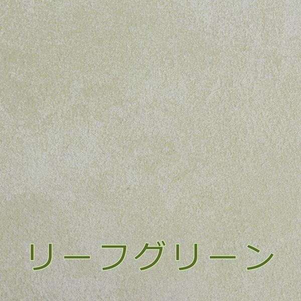 フジワラ化学 4943068480116 ムラを楽しむ！MURA PAINT 珪藻土塗材 2kg リーフグリーン |  | 02