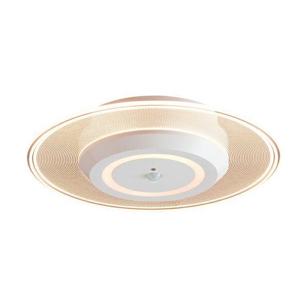 あすつく対応 「直送」 ＩＲＩＳ SCL-75LMS-LGP 529233 小型シーリングライト 導光板 750lm 人感センサー付 電球色 ホワイト |  | 01