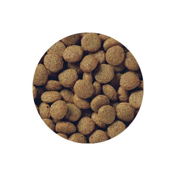 在庫 ペットライン 4902418002491 メディコートアドバンス グレインフリー 1歳から チキン味 4．5kg 高たんぱく設計 穀類不使用 あ あすつく対応 |  | 02