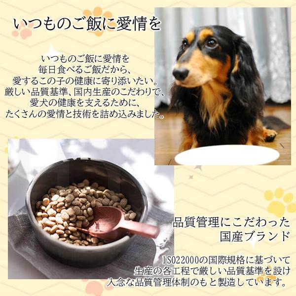 在庫 ペットライン 4902418002491 メディコートアドバンス グレインフリー 1歳から チキン味 4．5kg 高たんぱく設計 穀類不使用 あ あすつく対応 |  | 02