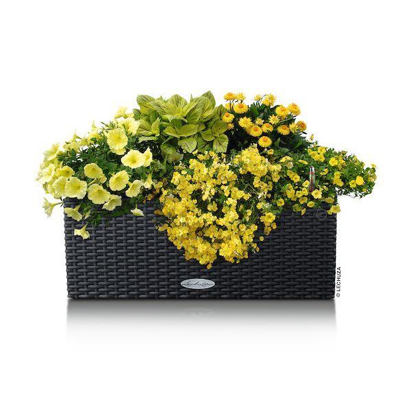 レチューザ 15602 底面給水プランター バルコネラ コテージ グラニット |  | 06