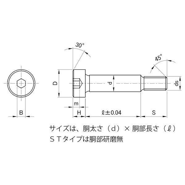 【個人宅配送不可】【個数：60個】ＳＵＮＣＯ 4525824180432 【60個入】 直送 代引不可 GOSHOショルダーBTSTタイプ 13 X 55_1