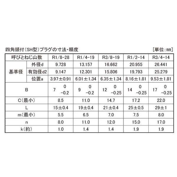 【個人宅配送不可】【個数：100個】ＳＵＮＣＯ 4550041866548 【100個入】 直送 代引不可 BSプラグ 四角頭 R1／4−19X19_2