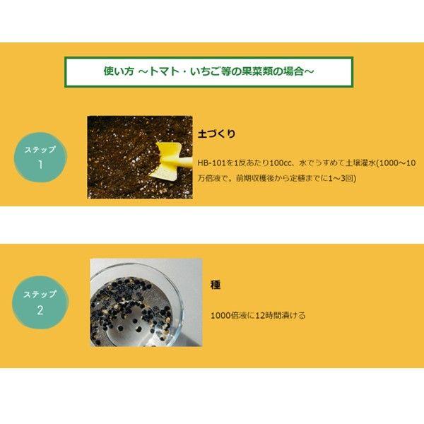 在庫 フローラ 4522909000029 HB−101 1L 安全・無害で減農薬栽培や有機栽培にも 使い方カンタン すべての植物に威力を発揮する天然 あすつく対応_11