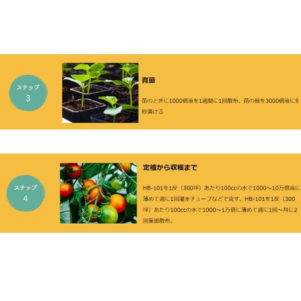在庫 フローラ 4522909000029 HB−101 1L 安全・無害で減農薬栽培や有機栽培にも 使い方カンタン すべての植物に威力を発揮する天然 あすつく対応_12