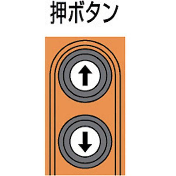 【個数：1個】KITO ED06S 電気チェーンブロック セレクト １速形 ６０ｋｇ×３ｍ ED-06S 221-1513 | S（クリナップ） | 01
