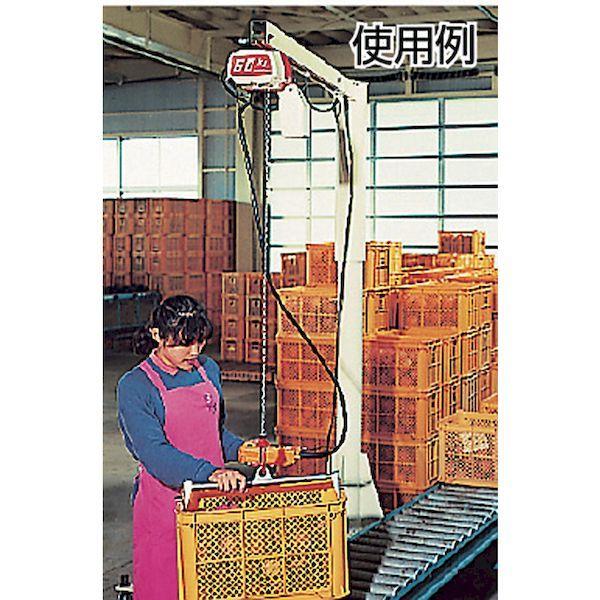 【個数：1個】KITO ED06S 電気チェーンブロック セレクト １速形 ６０ｋｇ×３ｍ ED-06S 221-1513 | S（クリナップ） | 03
