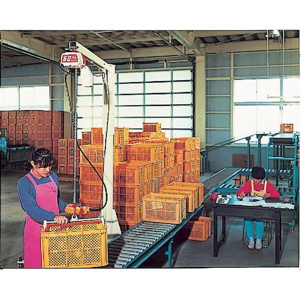 【個数：1個】KITO ED06S 電気チェーンブロック セレクト １速形 ６０ｋｇ×３ｍ ED-06S 221-1513 | S（クリナップ） | 04