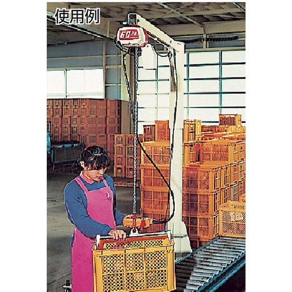 個数：1個】KITO ED48ST 電気チェーンブロック セレクト 2速形