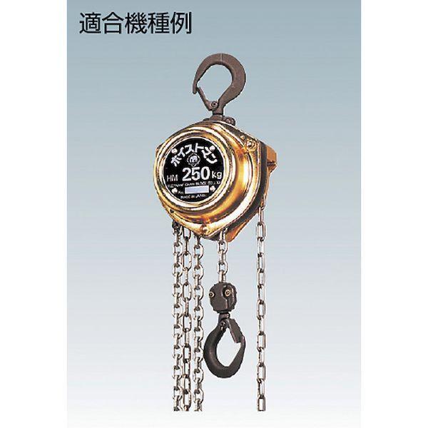 あすつく対応 「直送」 【個数：1個】象印 YHM-K15017 手動チェーンブロック用パーツ ＨＭ−１５用下フックセット ＹＨＭ−Ｋ１５０１７ YH |  | 01