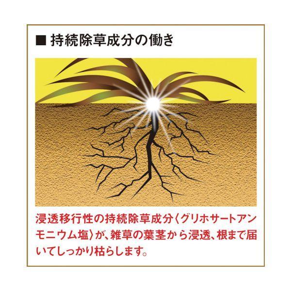 フマキラー 450019 除草剤 根まで枯らす虫よけ除草王プレミアム2L |  | 01