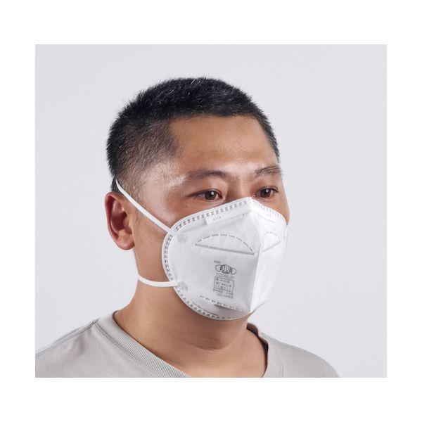 ＳＷＳ 717697 YQD95JP DS2 防じんマスク 20枚入 |  | 04