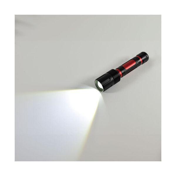ＮＩＣＨＩＤＯ SL-20F-CH フォーカスLEDライト アンタレス 充電式 20W SL20FCH |  | 01
