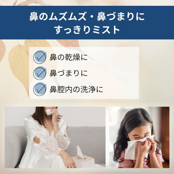 在庫 サイナスリンス SM-125 サイナスミスト SM125 あすつく対応 |  | 02