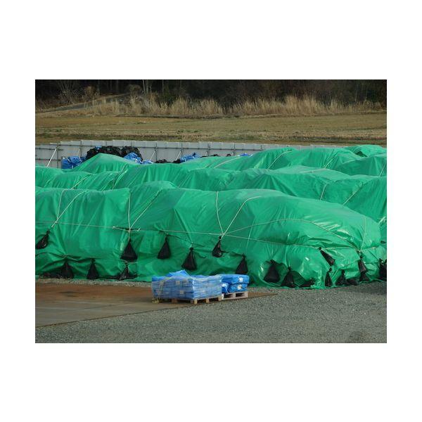 萩原 UV4000-GR3654 ターピー UVシート ＃4000 グリーン 3．6m×5．4m UV4000GR3654 |  | 03