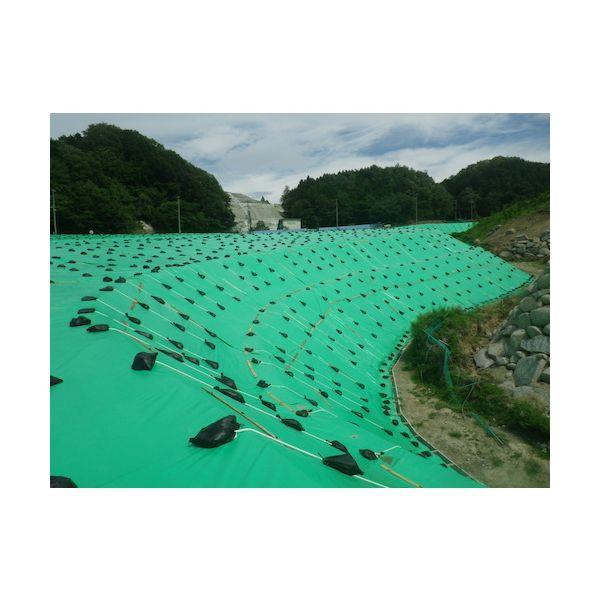 萩原 UV4000-GR3654 ターピー UVシート ＃4000 グリーン 3．6m×5．4m UV4000GR3654 |  | 04