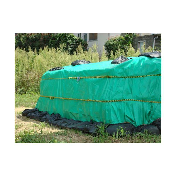 萩原 UV4000-GR5472 ターピー UVシート ＃4000 グリーン 5．4m×7．2m UV4000GR5472 |  | 02