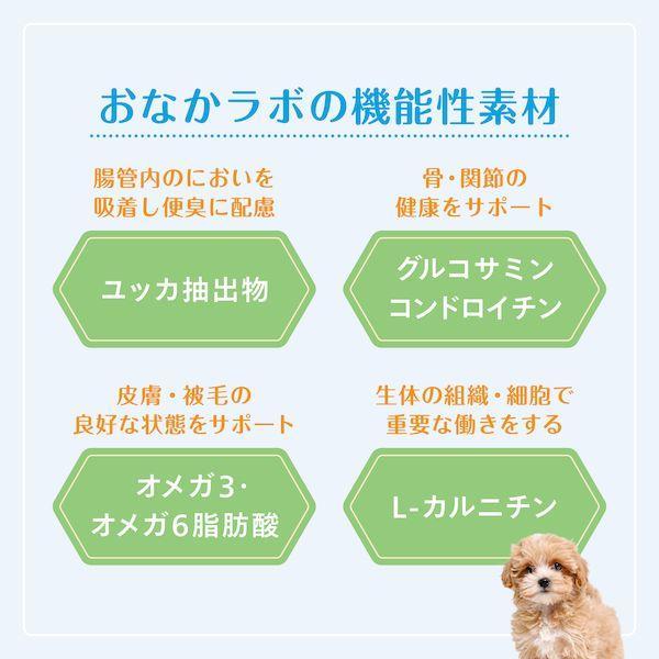 森乳サンワールド 4978007005136 Supergold おなかラボ 子犬用 2．4kg |  | 03