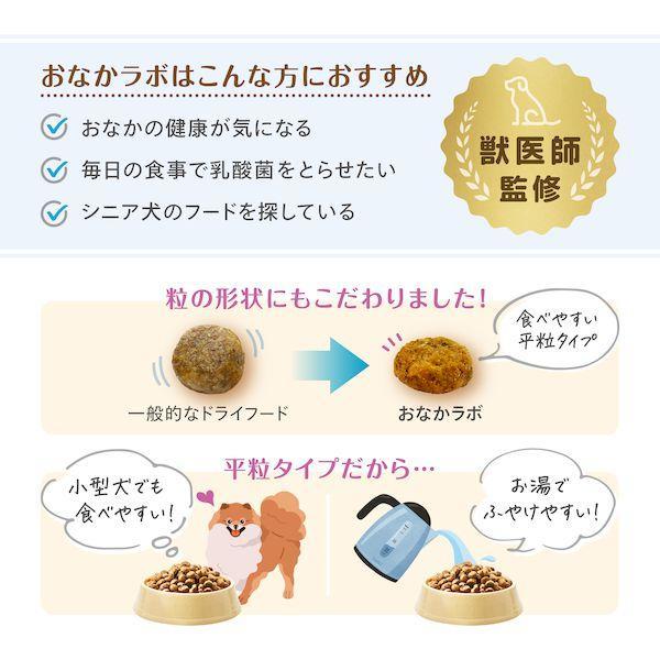 森乳サンワールド 4978007005143 Supergold おなかラボ 子犬用 7．5kg |  | 05