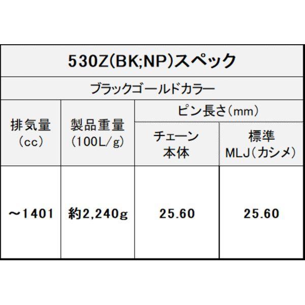 【数量限定・売切れ次第終了】江沼チェーン EK チェーン THREED 530Z／3D BK／NP 110L MLJ |  | 04