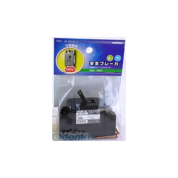 オーム電機 HS-B1EA30-G 安全ブレーカー ３０Ａ−１１０Ｖ HSB1EA30G HS-B1EA30-G AC100V | 