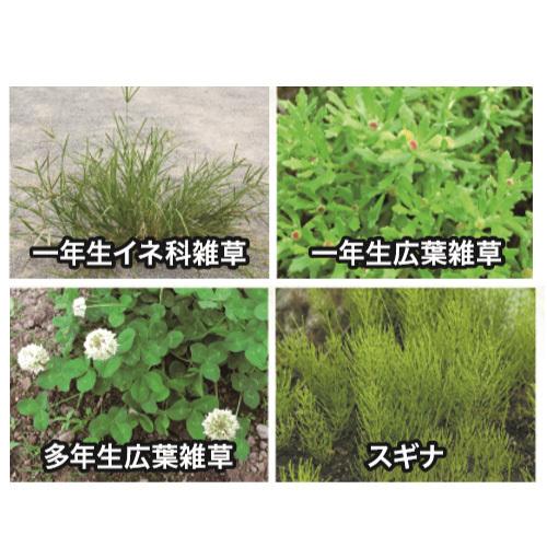 シバキーププラスＶ 1kg |  | 02