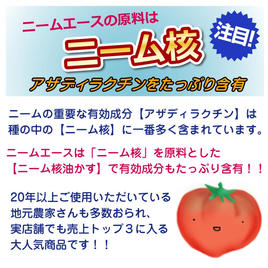 ランキングtop10 安心 安全で効果抜群のニームケーキ ニームエース 1 2kg 3袋セット ニーム 肥料 家庭菜園 ガーデニング 農業 野菜 有機肥料 虫対策 Discoversvg Com