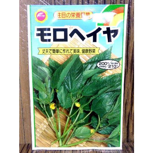 モロヘイヤ 種 アタリヤ Am12 井手商会 ヤフー店 通販 Yahoo ショッピング