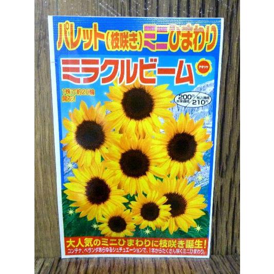 パレット 枝咲き ミニひまわり ミラクルビーム 種 アタリヤ Am1245 井手商会 ヤフー店 通販 Yahoo ショッピング