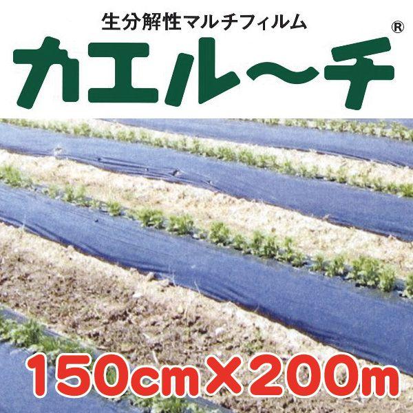(貨物輸送無料）畑作用 生解体性マルチ『カエルーチ』 0.018ｘ150ｘ200（黒・無孔） [生解体 はい芽 マルチ写真フィルム 穴なし 95珊 200m] 爆買 園芸用品-花、ガーデニング-その他ガーデニング、園芸用品