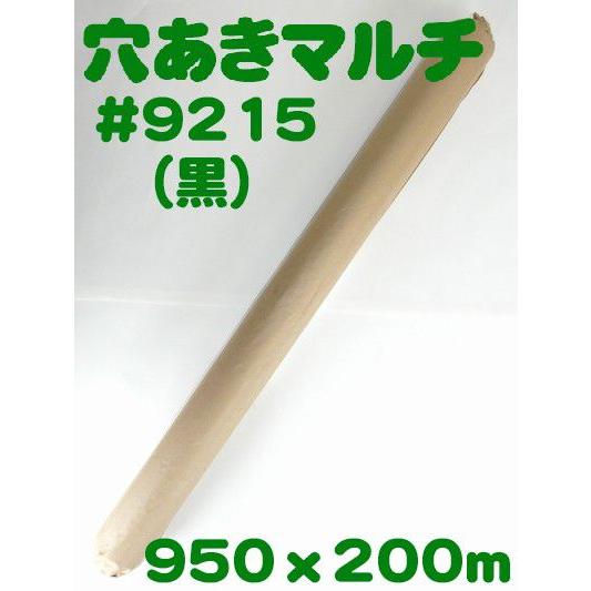 送料無料) 穴あきホールマルチ #9215（黒） (農業用マルチ) 爆買