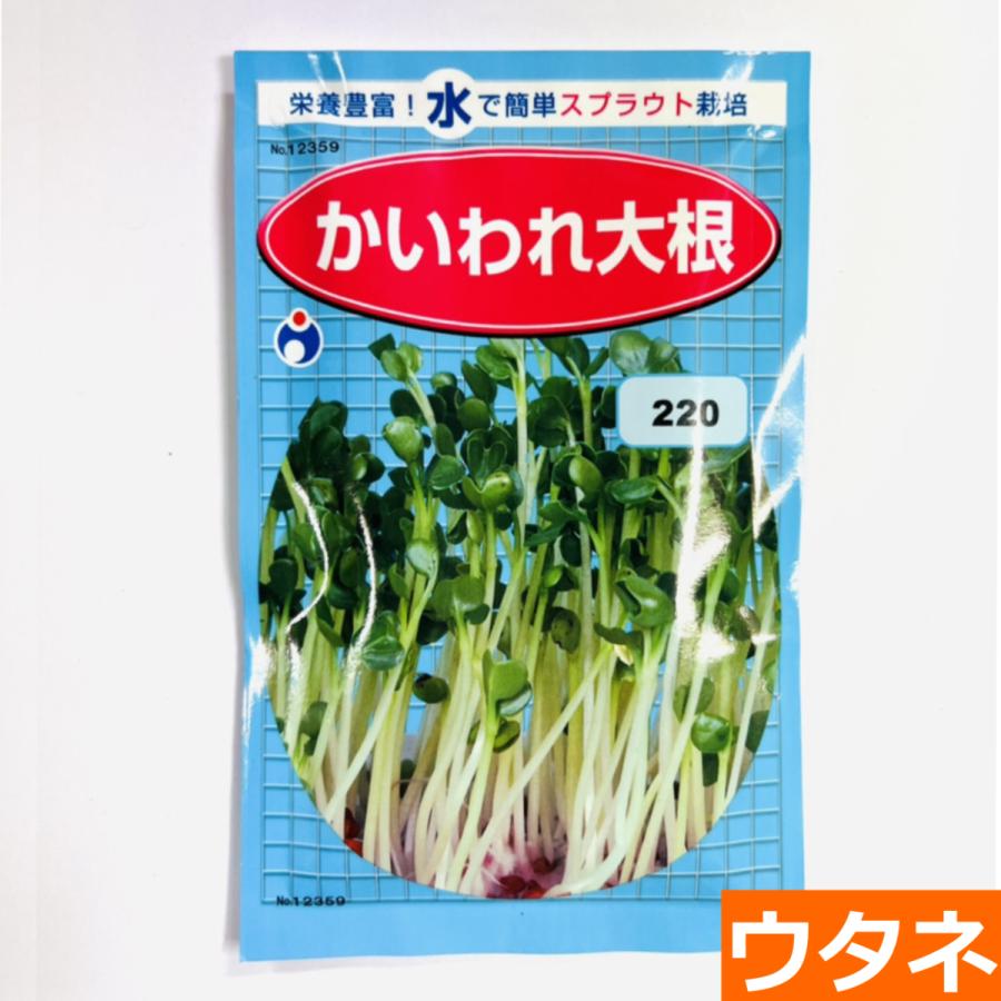 かいわれ大根 種 ウタネ Am942 プロ農業 家庭菜園のお店 井手商会 通販 Yahoo ショッピング