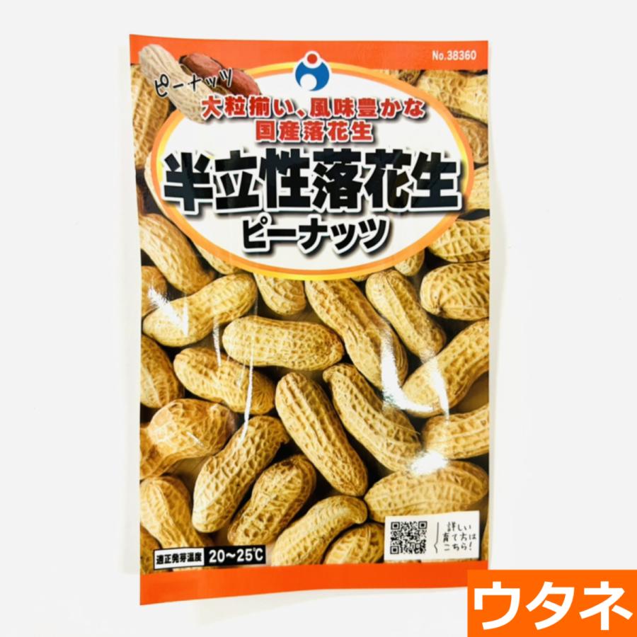 半立性 落花生 ピーナッツ 種 ウタネ Am980 プロ農業 家庭菜園のお店 井手商会 通販 Yahoo ショッピング