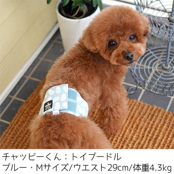 犬用トイレ用品 Idog マナーベルト パインボーダー アイドッグ メール便ok Idog 通販 Yahoo ショッピング