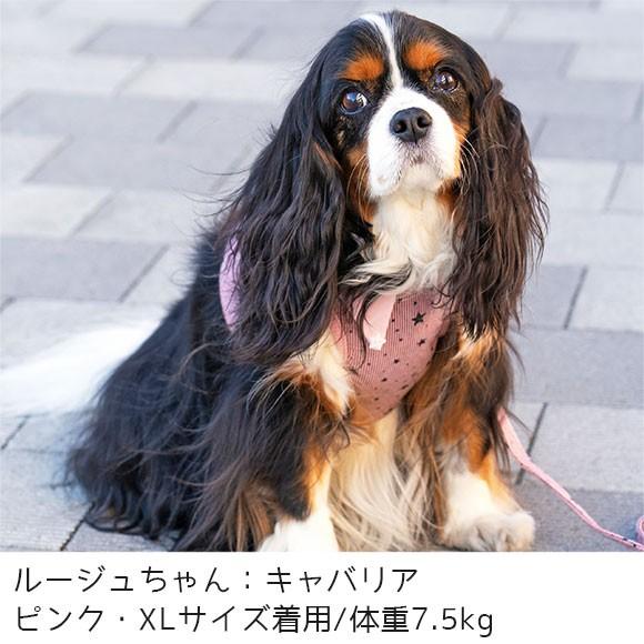 Off 犬用ハーネス Idog 犬用コンフォートハーネス リード付き おしゃれ襟ストライプスター アイドッグ メール便ok Idog 通販 Yahoo ショッピング