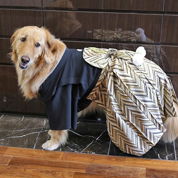 犬の服 Idog 愛犬用袴 中大型犬用 家紋付袴 アイドッグ Idog 通販 Yahoo ショッピング