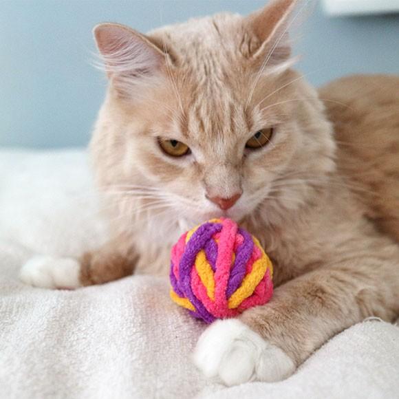 iDog 猫用品 iCat もこもこモール玉 カラカラ鈴入り アイキャット