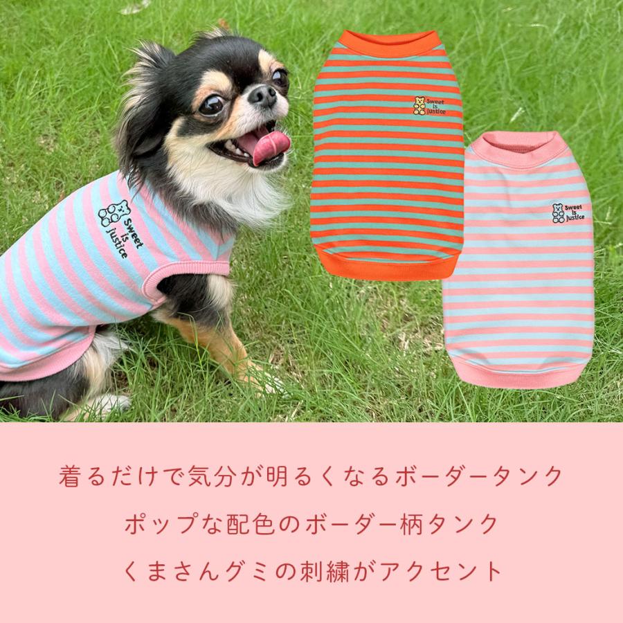 iDog ワンダフルセール 5%OFF 犬 服 おかしパーティー福袋 アイドッグ