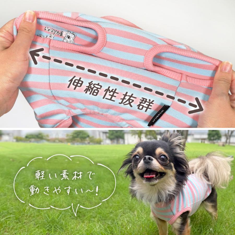 iDog 犬 服 おかしパーティー福袋 アイドッグ : iDog - 通販