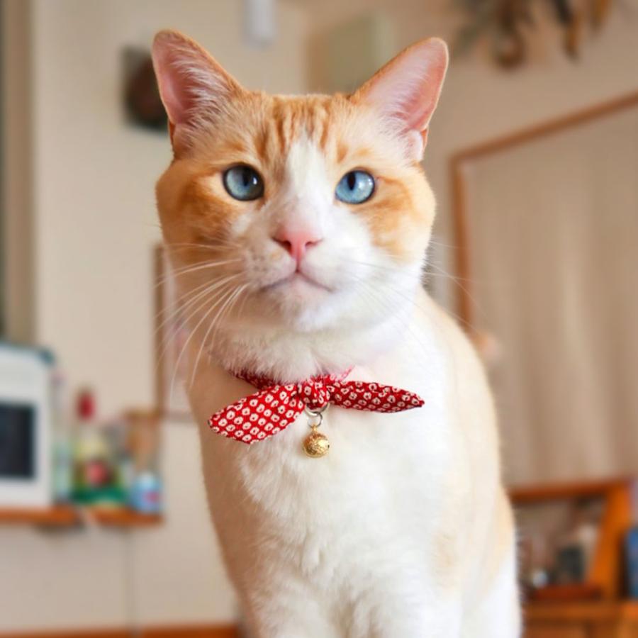 iDog 猫用首輪 iCat moscape ラブリーカラー ちりめん×結びリボン 防虫