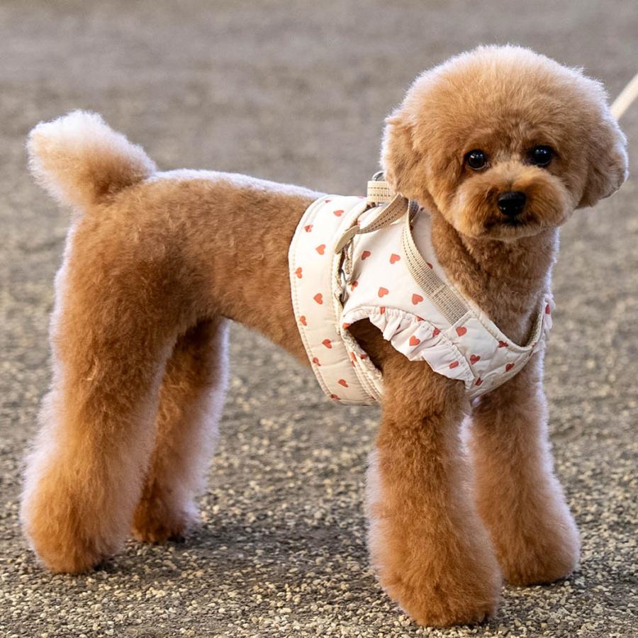 iDog ワンダフルセール 10%OFF fleur HugHold犬用コンフォートハーネス