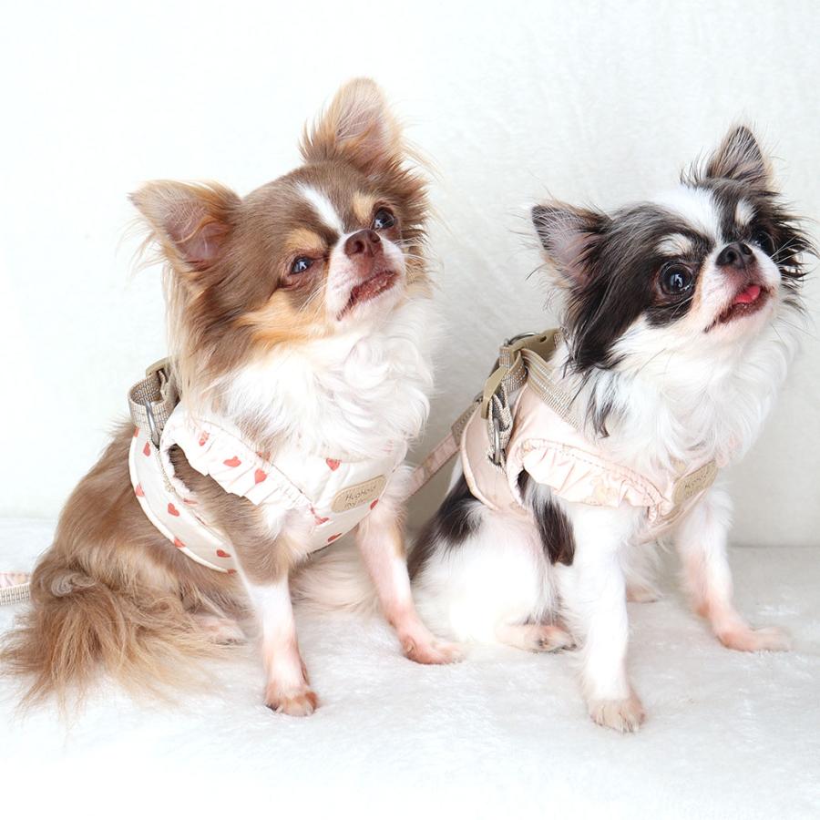 iDog fleur HugHold犬用コンフォートハーネス リード付き 撥水 防汚