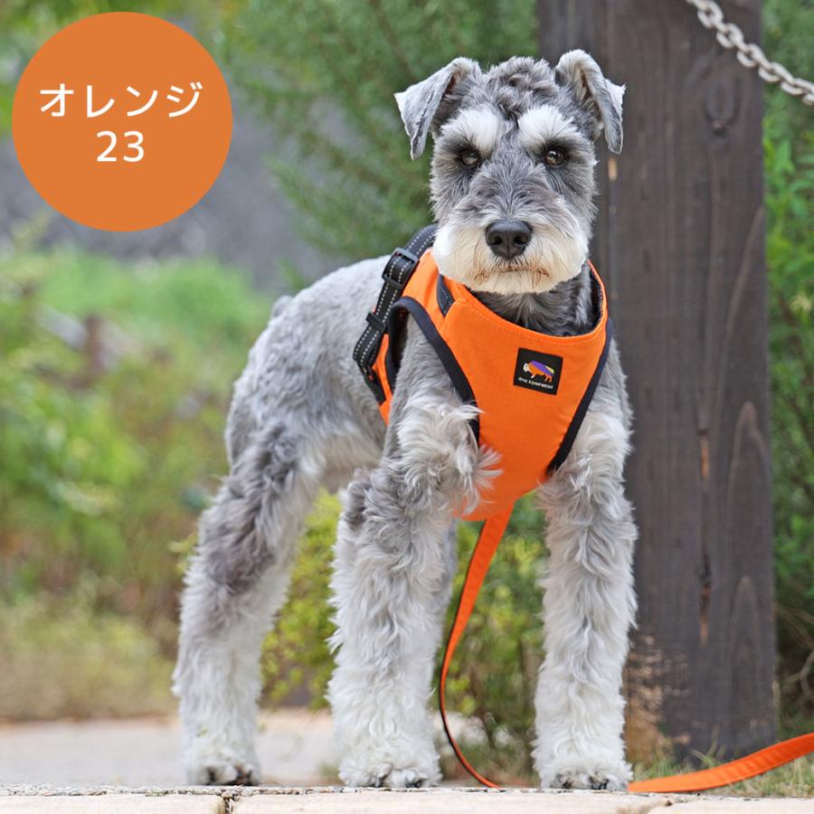 犬 ハーネス iDog 犬用コンフォートハーネス リード付き IDOG EQUIPMENT アイドッグ