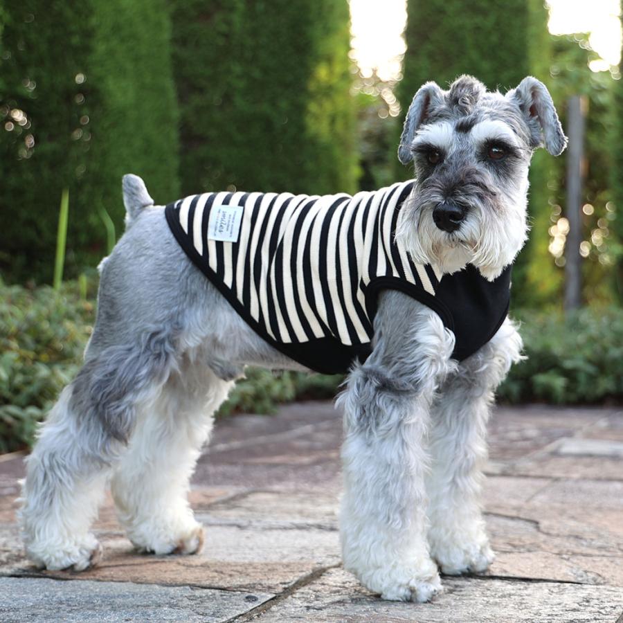 ハンドメイド犬服　【再販】ふんわりタンクトップ　リブニット★お袖変更可能 犬服 タンクトップ DBM ストライプ ボーダー かわいい