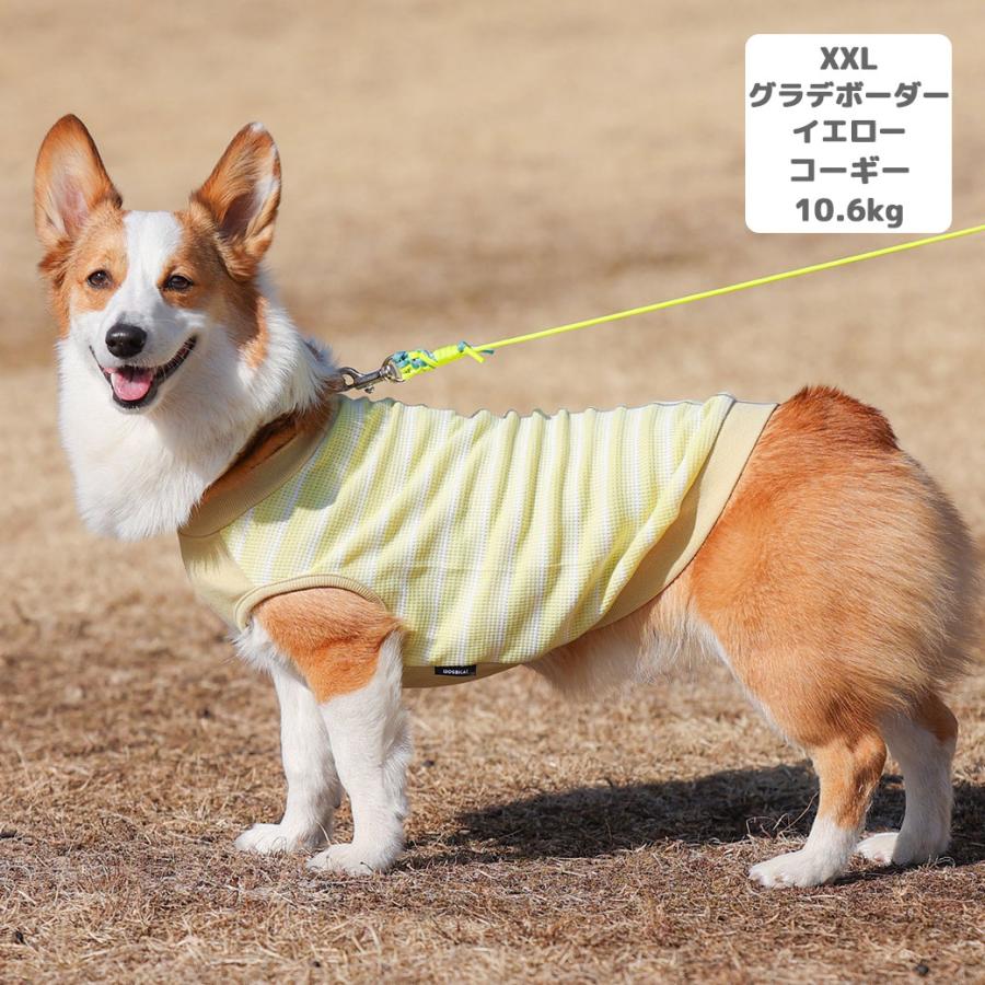 iDog リブ切替ボーダータンク アイドッグ : iDog - 通販 - Yahoo