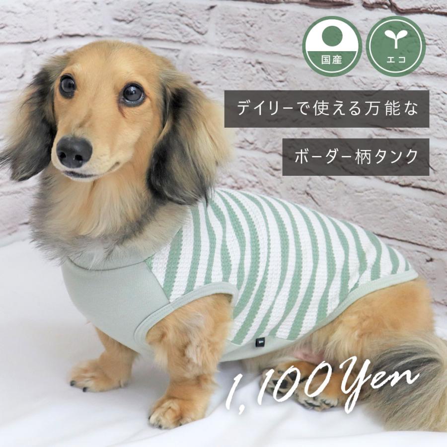 iDog 犬 服 リブ切替ボーダータンク アイドッグ メール便OK : iDog 