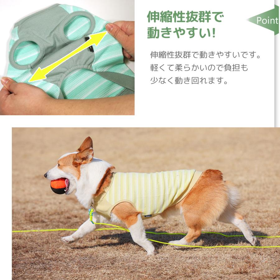 iDog リブ切替ボーダータンク アイドッグ : iDog - 通販 - Yahoo