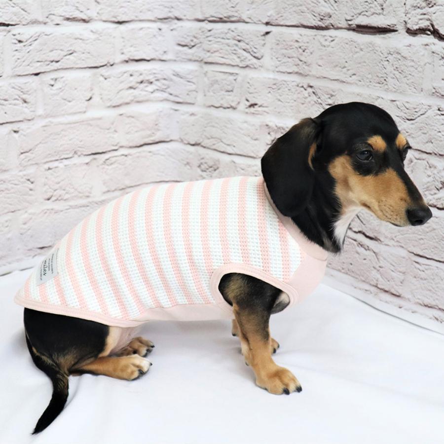 黒　白　ボーダーの犬の服 楽天市場】(在庫処分SALEの為返品交換不可)ワイドボーダーT