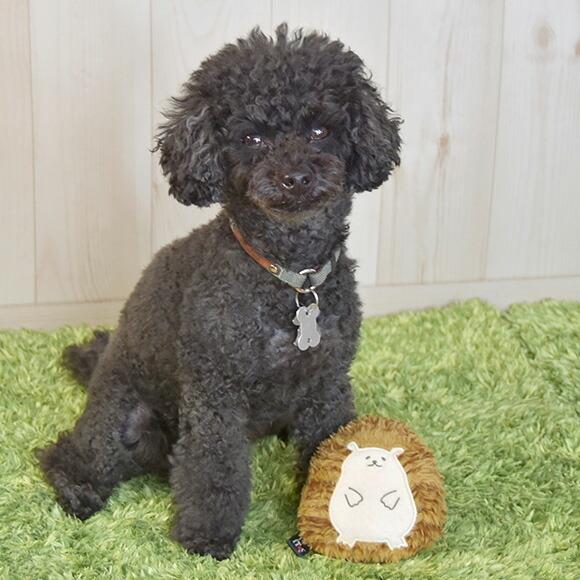 犬 おもちゃ Idog Itoy ハリネズミ 鳴き笛入り アイドッグ Idog 通販 Yahoo ショッピング