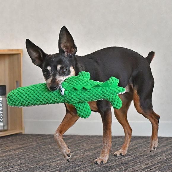iDog 犬 おもちゃ ワニ 鳴き笛入り アイドッグ : iDog - 通販 - Yahoo